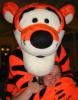 sctigger