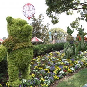 Epcot-Flower-Garden-2012-108