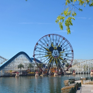 Mickeys-Fun-Wheel-001