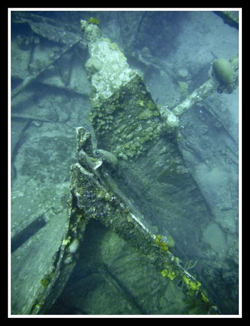 shipwreck12.jpg