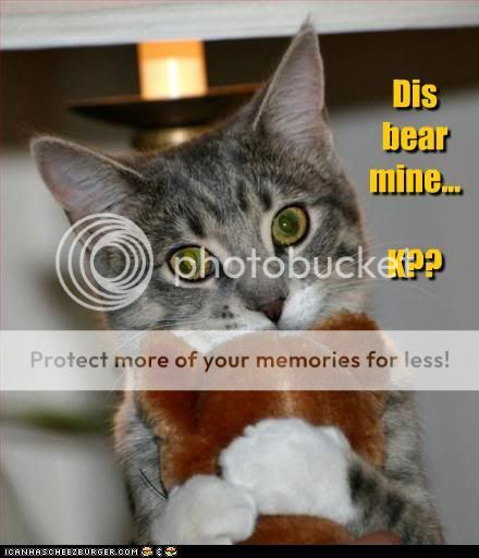 funny-pictures-dis-bear-mine-k.jpg