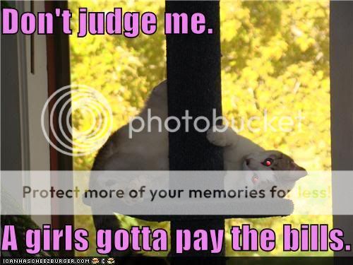 funny-pictures-dont-judge-me-a-girls-gotta-pay-the-bills.jpg