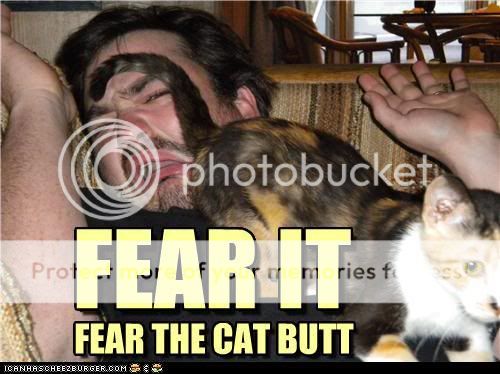 funny-pictures-fear-it.jpg