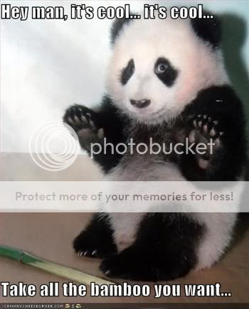 ichc-panda-bamboo.jpg