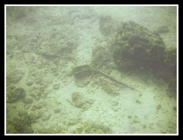 shipwreck13.jpg