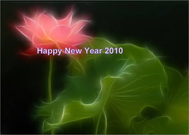 Happy-New-Year-2010-latest-pic.jpg