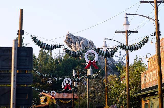 disneyland-7761-copy.jpg