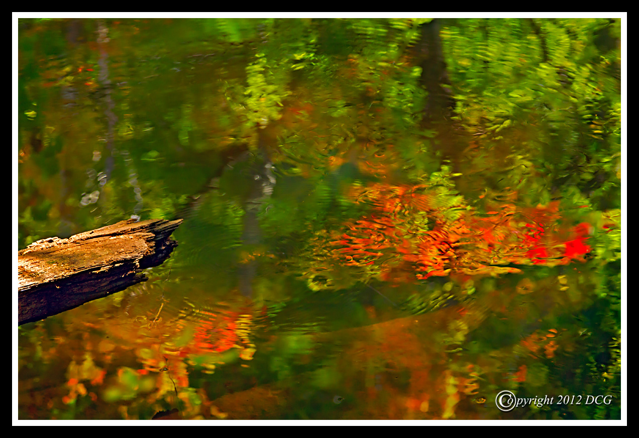 Autumn-Reflection-09-24-06cr-X2.jpg