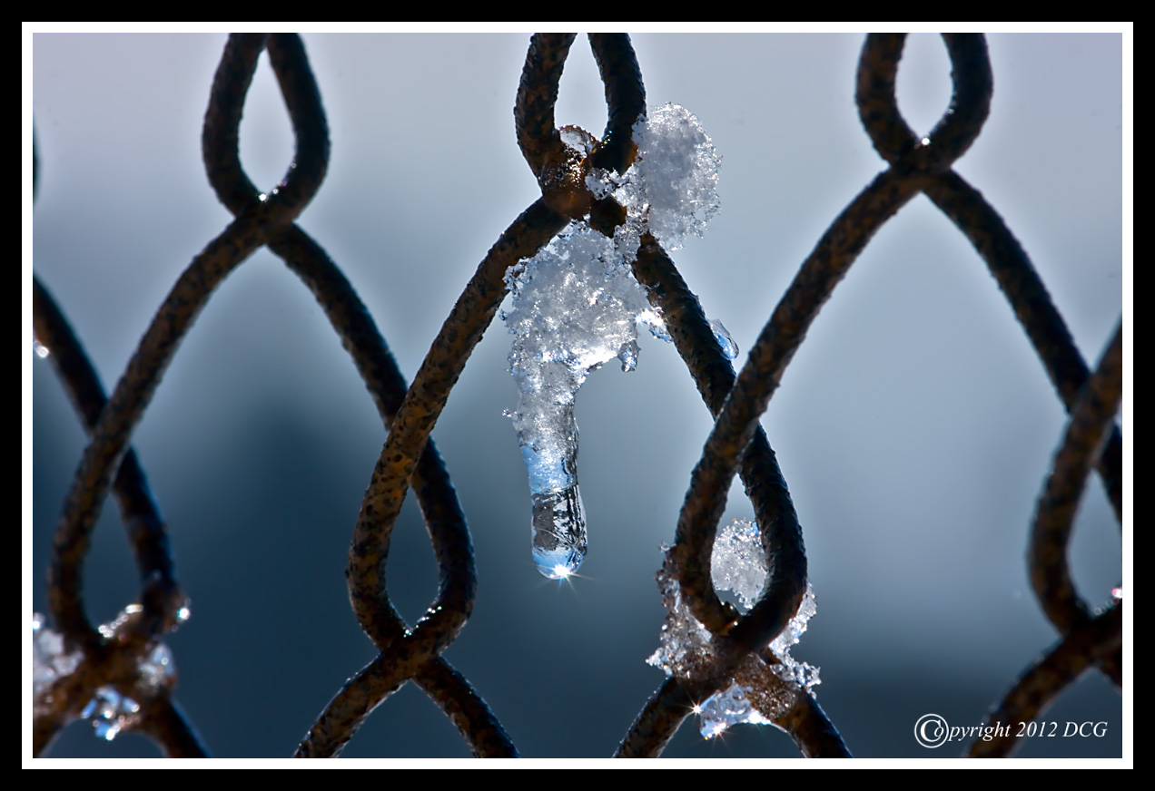 Icicle-03-10-02cr%20-X2.jpg