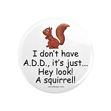 i_dont_have_add_squirrel_magnet.jpg