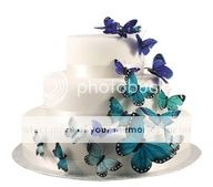 butterflycake.jpg