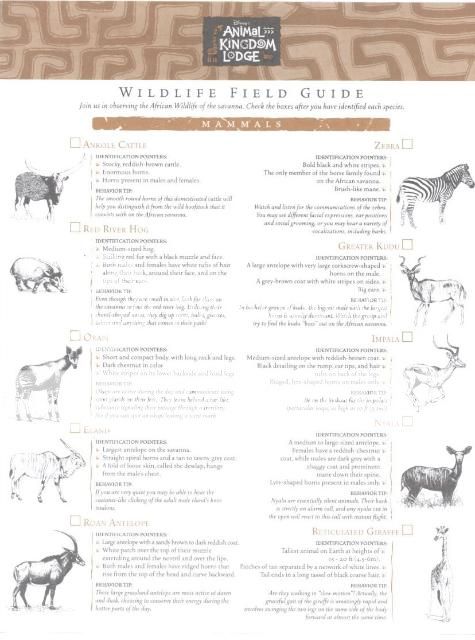 WildlifeFieldGuide-Page1.jpg