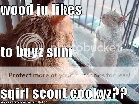 sqirlscout.jpg