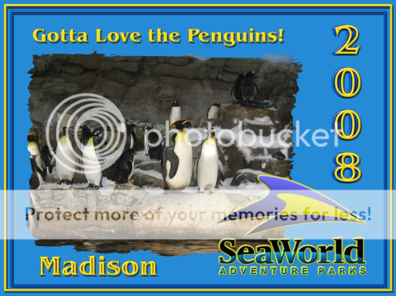 madison_penguins.jpg