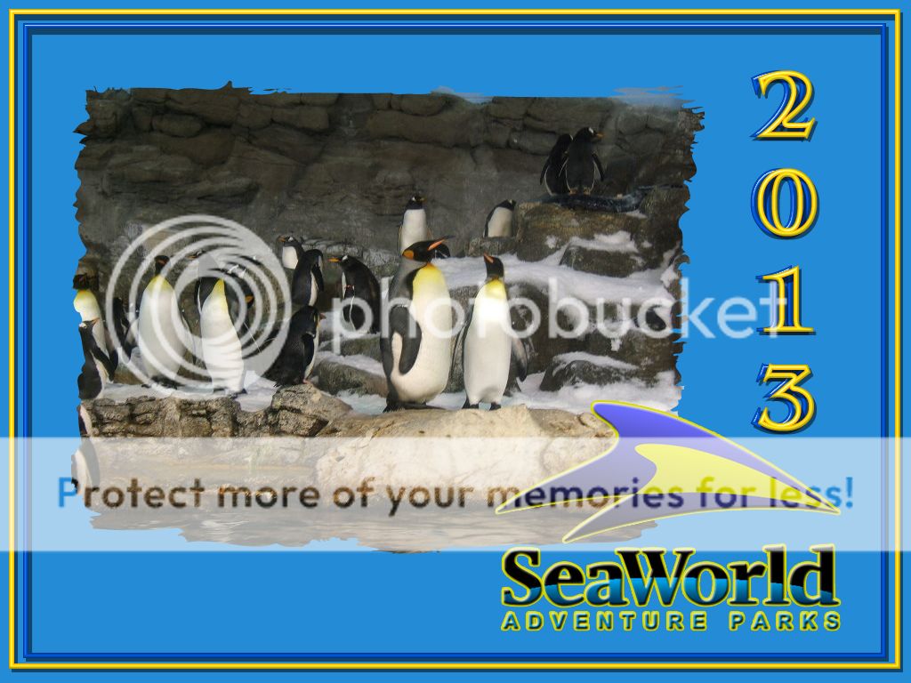 2013_seaworld_penguins_zpse06c1516.jpg