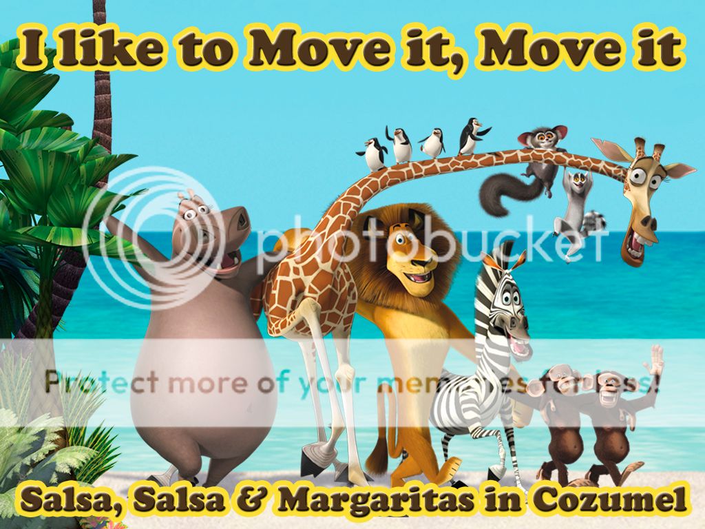 salsa_madagascar_zpsc871d47a.jpg