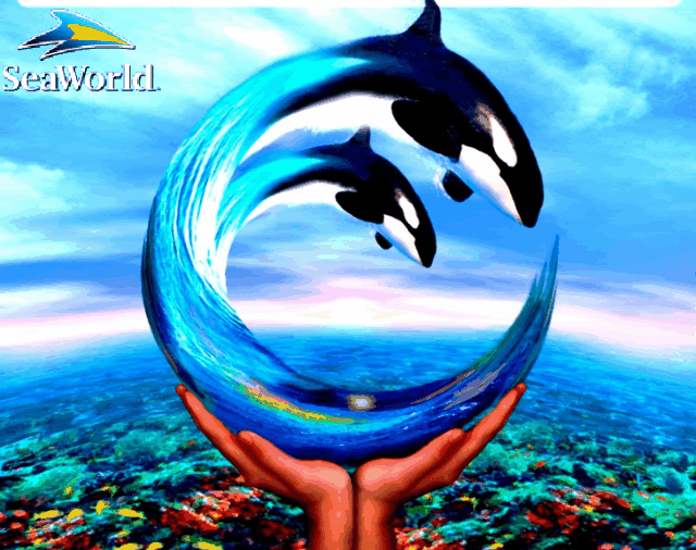 seaworld_logo-1.gif