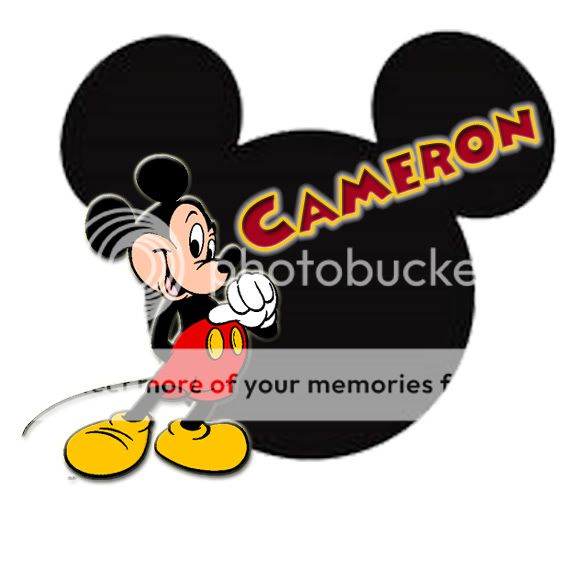 MickeyMouseMickeyHeadCameron.jpg