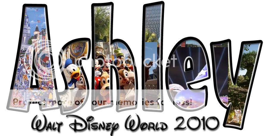 DisneyWorldFillAshley.jpg