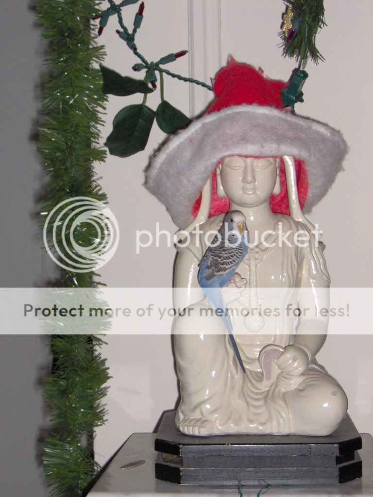 SantaandBuddhaCelebrateaDiverseChri.jpg