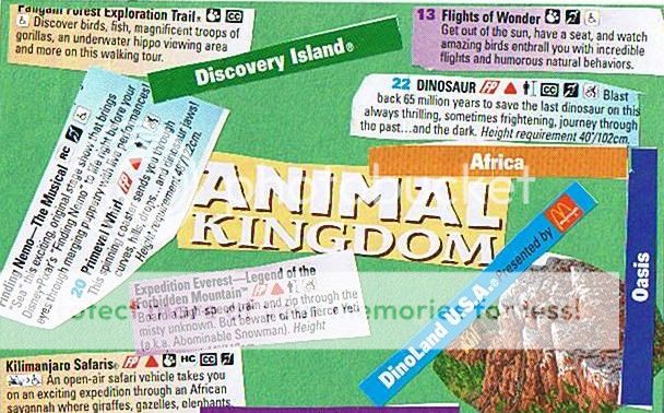 animalkingdomcard.jpg