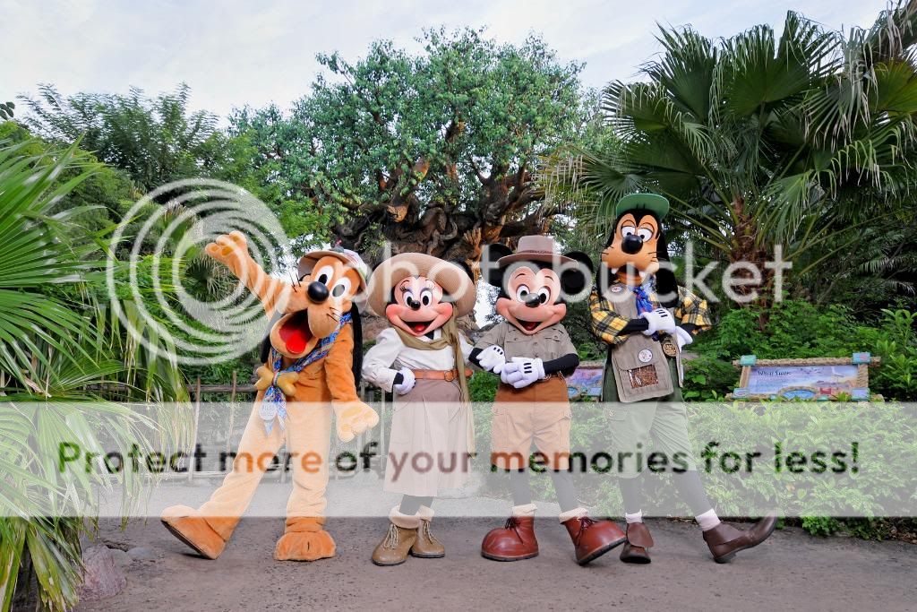 Disney2011Photopass365.jpg