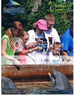 dolphinfeedingday1.jpg