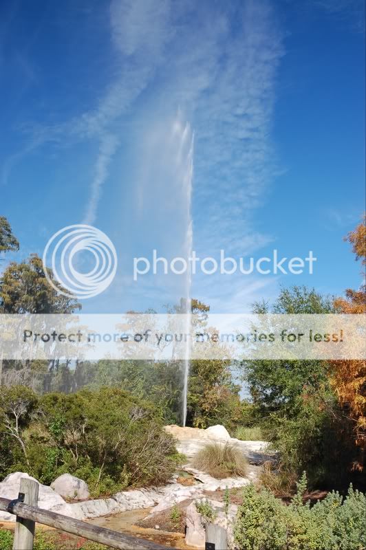 Geyser.jpg