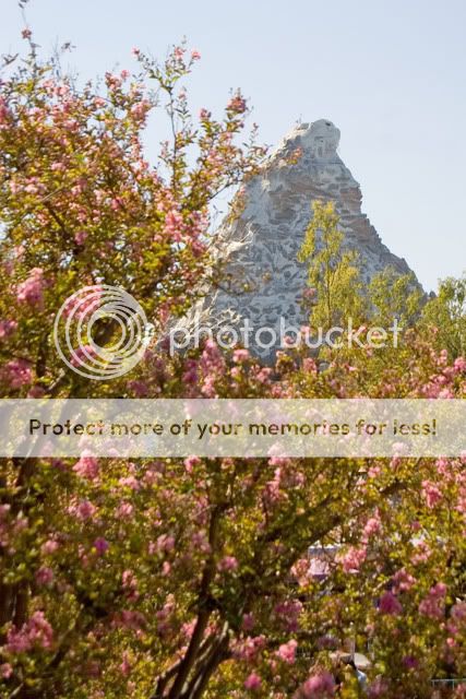 Matterhorn_0089.jpg