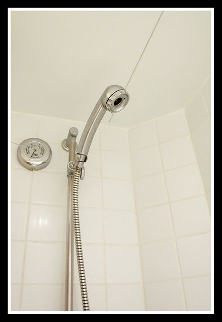 showerhead.jpg