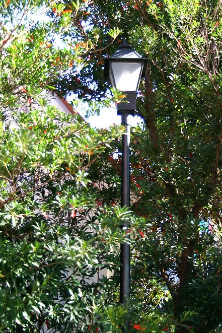 lamppost.jpg