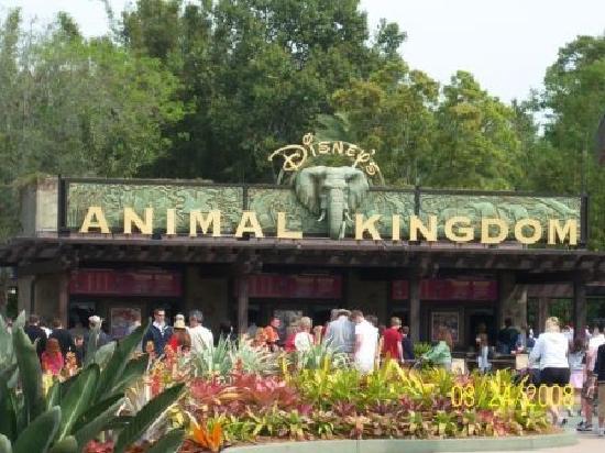 animal-kingdom-entrance.jpg
