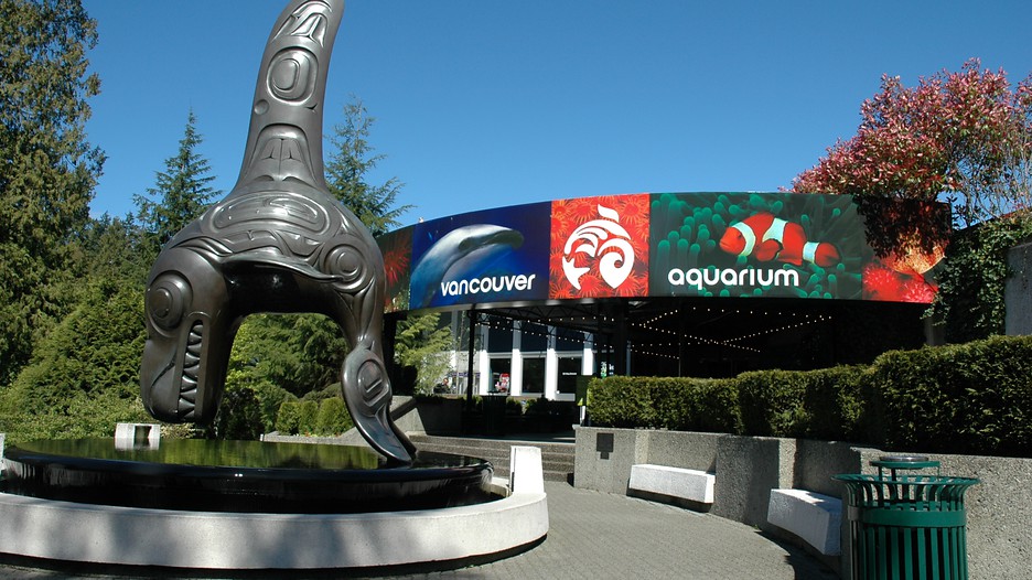 Vancouver-Aquarium-22003.jpg