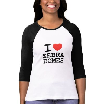 i_3_zebra_domes_tshirt-p235327913059477528zxdrl_400.jpg