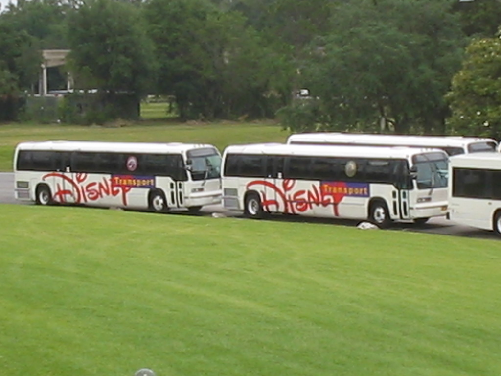 Disney_world_transport.jpg