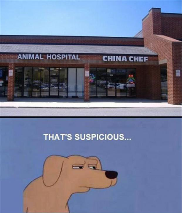 vet-and-chinese-food-funny-signs.jpg