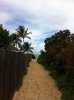 kailua_beach_walkway.jpg