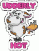 cow2.gif