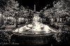 BW France Fountain.jpg