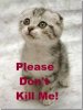 upload_2015-2-3_21-28-16.jpeg