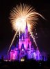wishes.jpg