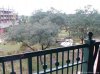 Animal-Kingdom-Lodge-Savanna-19.jpg