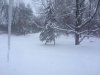 snow.jpg