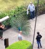 peacock.jpg
