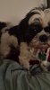 20150403_185434.jpeg