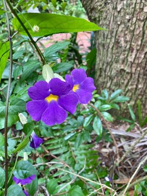IMG_0114.jpeg
