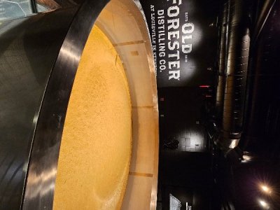 20230425_134953[1].jpg