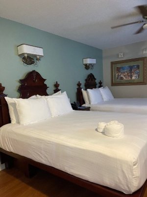 IMG_5110.jpeg