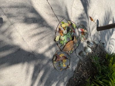 IMG_2023.jpeg