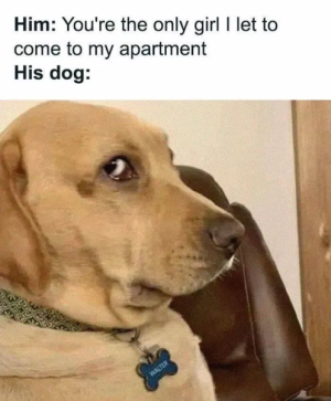 68b69fcee8ed7.png